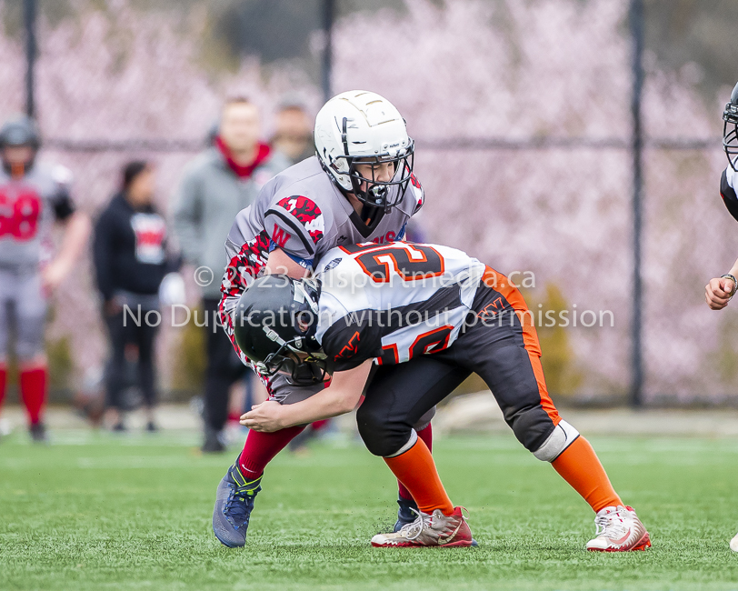 Warriors westshore Wolverines Saanich GVMFA  Goudy Langford football