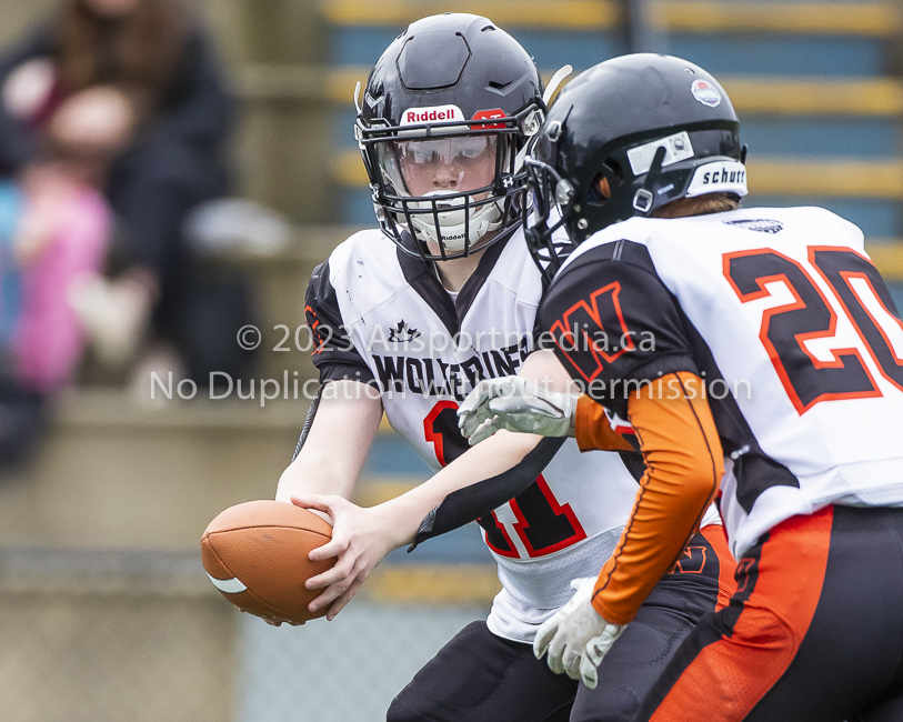 Warriors westshore Wolverines Saanich GVMFA  Goudy Langford football