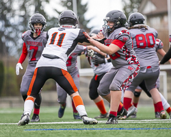 Warriors-westshore-Wolverines-Saanich-GVMFA-Goudy-Langford-football