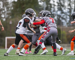 Warriors-westshore-Wolverines-Saanich-GVMFA-Goudy-Langford-football