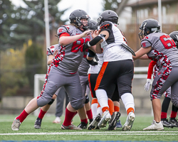 Warriors-westshore-Wolverines-Saanich-GVMFA-Goudy-Langford-football