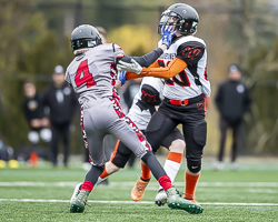 Warriors-westshore-Wolverines-Saanich-GVMFA-Goudy-Langford-football