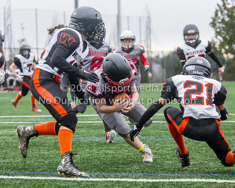 Warriors westshore Wolverines Saanich GVMFA  Goudy Langford football