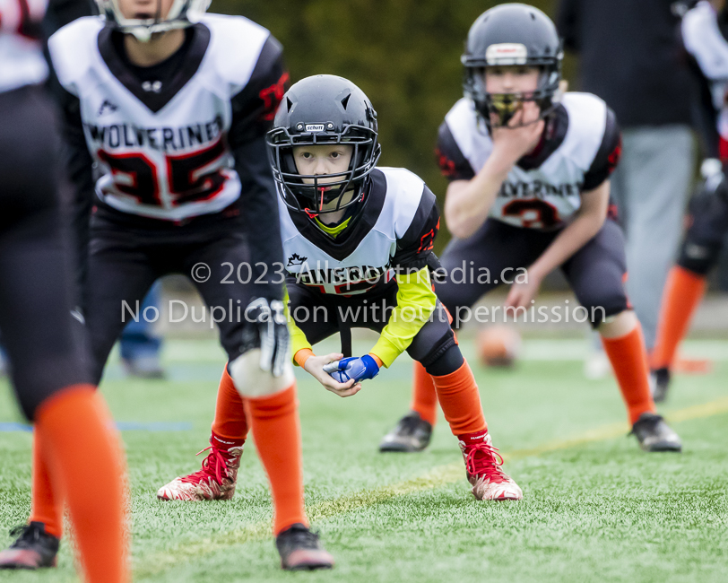 Warriors westshore Wolverines Saanich GVMFA  Goudy Langford football