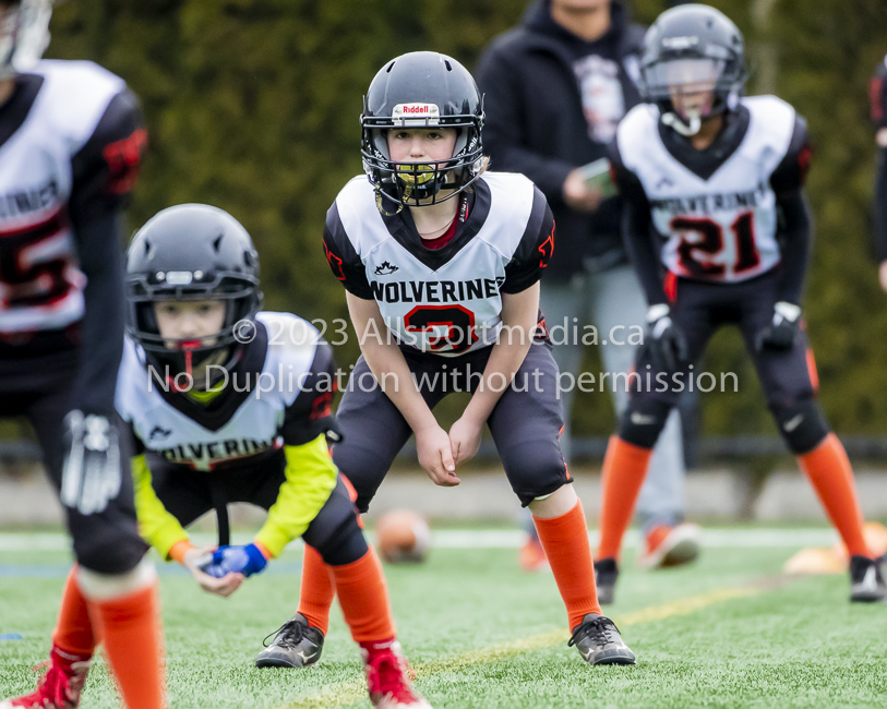 Warriors westshore Wolverines Saanich GVMFA  Goudy Langford football