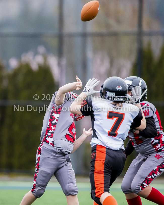 Warriors westshore Wolverines Saanich GVMFA  Goudy Langford football