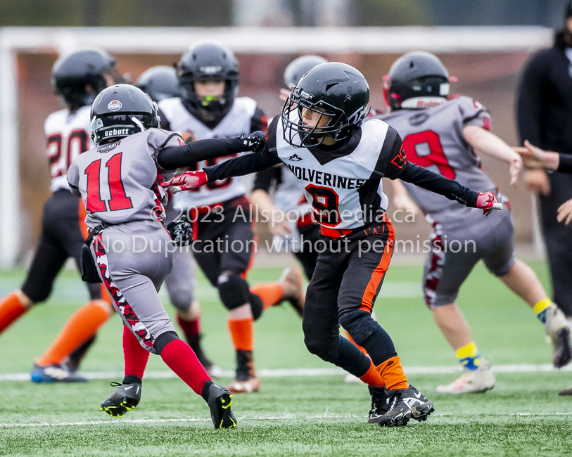 Warriors westshore Wolverines Saanich GVMFA  Goudy Langford football