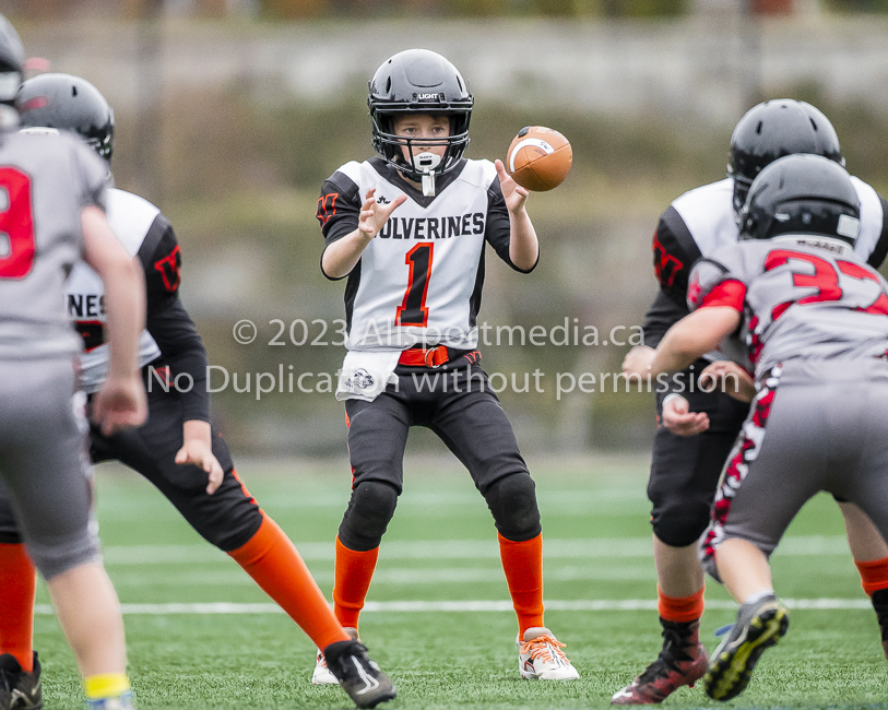 Warriors westshore Wolverines Saanich GVMFA  Goudy Langford football