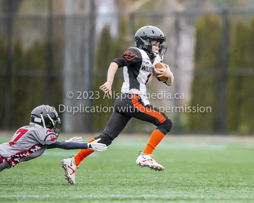 Warriors westshore Wolverines Saanich GVMFA  Goudy Langford football