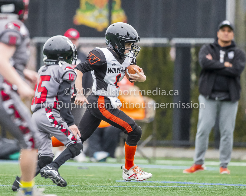 Warriors westshore Wolverines Saanich GVMFA  Goudy Langford football