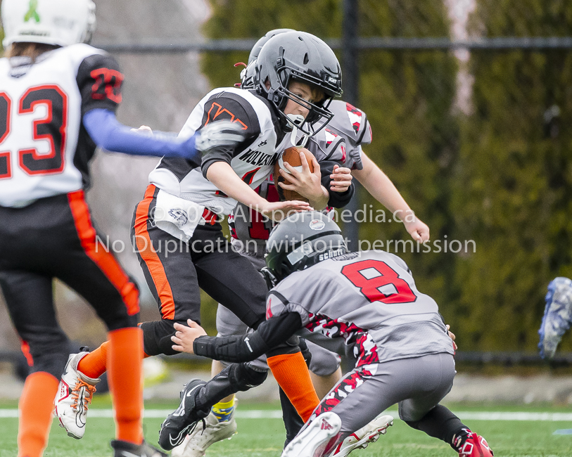 Warriors westshore Wolverines Saanich GVMFA  Goudy Langford football