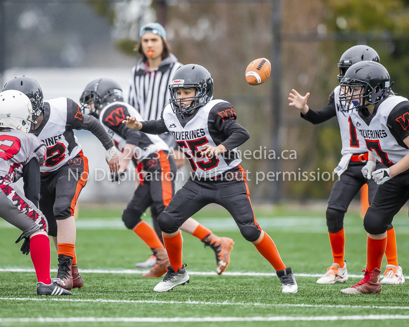 Warriors westshore Wolverines Saanich GVMFA  Goudy Langford football