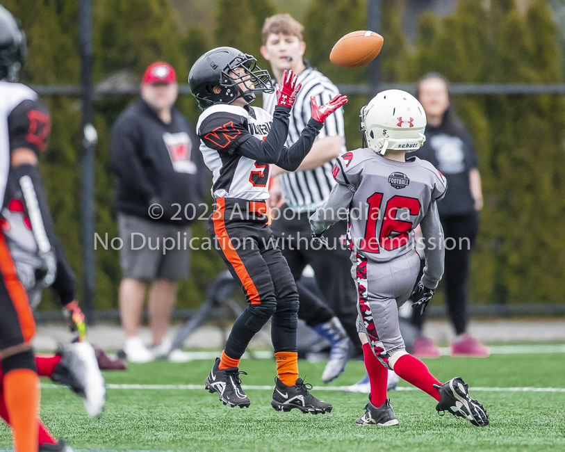 Warriors westshore Wolverines Saanich GVMFA  Goudy Langford football