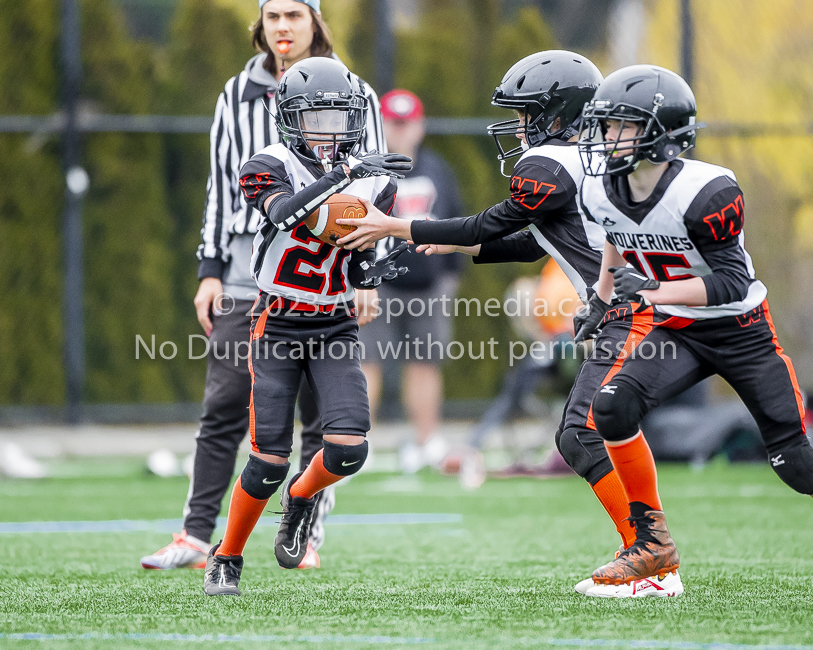 Warriors westshore Wolverines Saanich GVMFA  Goudy Langford football