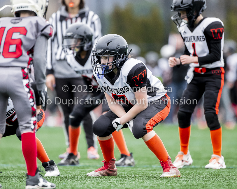 Warriors westshore Wolverines Saanich GVMFA  Goudy Langford football