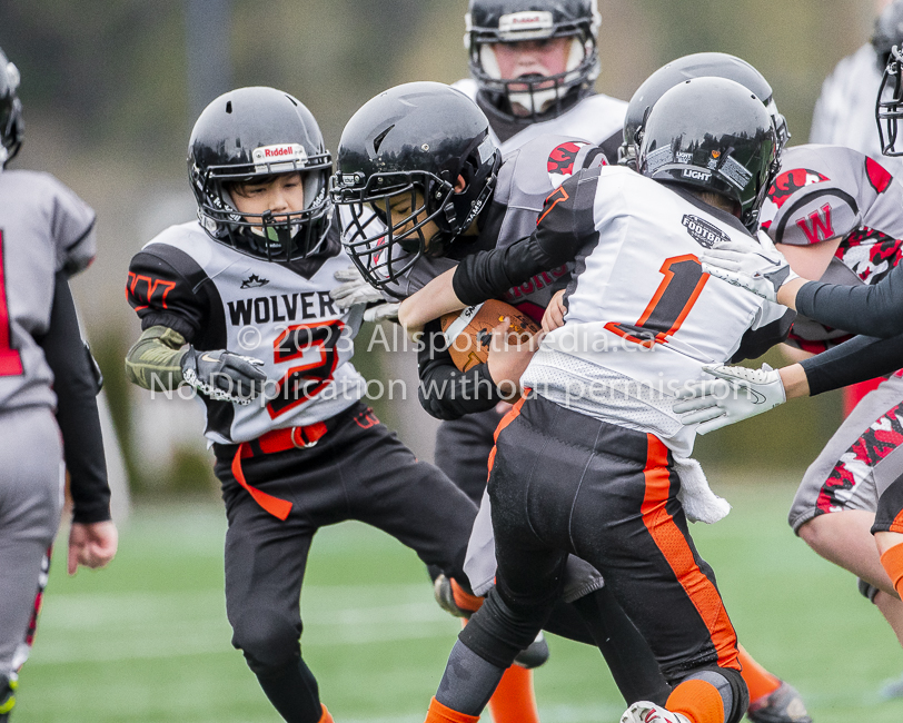 Warriors westshore Wolverines Saanich GVMFA  Goudy Langford football