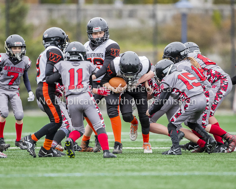 Warriors westshore Wolverines Saanich GVMFA  Goudy Langford football