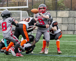 Warriors-westshore-Wolverines-Saanich-GVMFA-Goudy-Langford-football