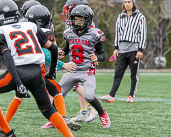 Warriors-westshore-Wolverines-Saanich-GVMFA-Goudy-Langford-football