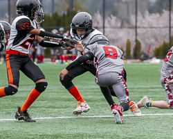 Warriors-westshore-Wolverines-Saanich-GVMFA-Goudy-Langford-football