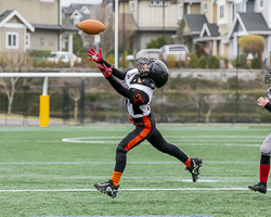 Warriors-westshore-Wolverines-Saanich-GVMFA-Goudy-Langford-football