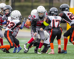 Warriors-westshore-Wolverines-Saanich-GVMFA-Goudy-Langford-football