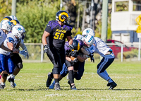 Belmont-Bulldogs-Football-High-School-Football-Allsportmedia-Photography-BC-High-School-Football-AAA-Junior-Varsity-Varsity-Goudy-Field-Langford