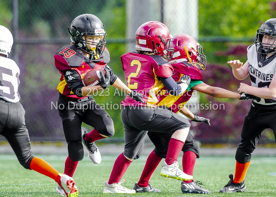 Allsportmedia Photography GVMFA Saanich Wolverines Westshore Warriors Cowichan Bulldogs Oceanside Lions