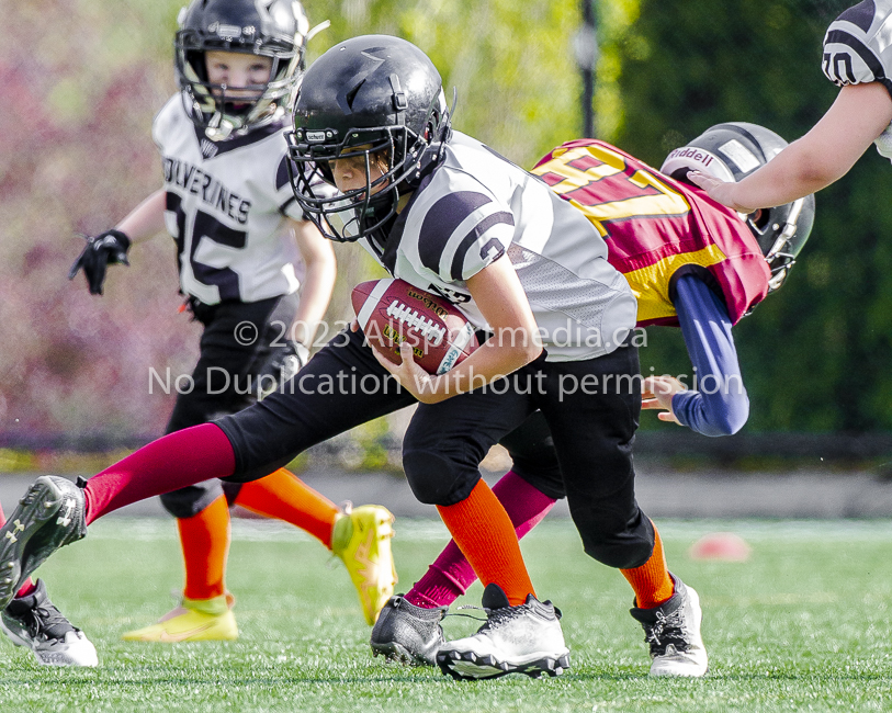 Allsportmedia Photography GVMFA Saanich Wolverines Westshore Warriors Cowichan Bulldogs Oceanside Lions