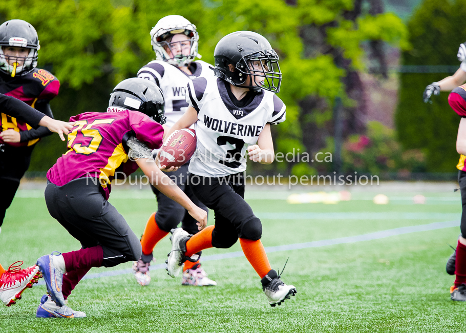 Allsportmedia Photography GVMFA Saanich Wolverines Westshore Warriors Cowichan Bulldogs Oceanside Lions