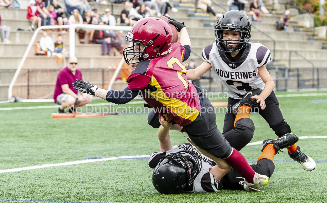 Allsportmedia Photography GVMFA Saanich Wolverines Westshore Warriors Cowichan Bulldogs Oceanside Lions