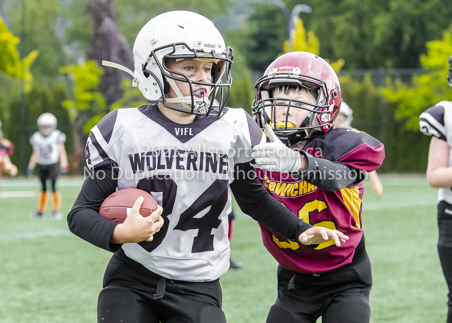 Allsportmedia Photography GVMFA Saanich Wolverines Westshore Warriors Cowichan Bulldogs Oceanside Lions