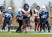 Westshore-Rebels-ISN-Island-Sports-News-BCFC-Allsportmedia-Langford-Football-CJFL;Westshore-Rebels-ISN-Island-Sports-News-BCFC-Allsportmedia-Langford-Football-CJFL-Saanich-wolverines