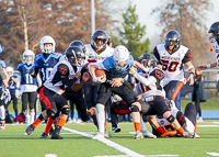 Westshore-Rebels-ISN-Island-Sports-News-BCFC-Allsportmedia-Langford-Football-CJFL;Westshore-Rebels-ISN-Island-Sports-News-BCFC-Allsportmedia-Langford-Football-CJFL-Saanich-wolverines