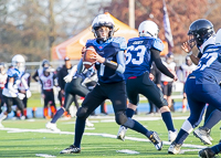 Westshore-Rebels-ISN-Island-Sports-News-BCFC-Allsportmedia-Langford-Football-CJFL;Westshore-Rebels-ISN-Island-Sports-News-BCFC-Allsportmedia-Langford-Football-CJFL-Saanich-wolverines