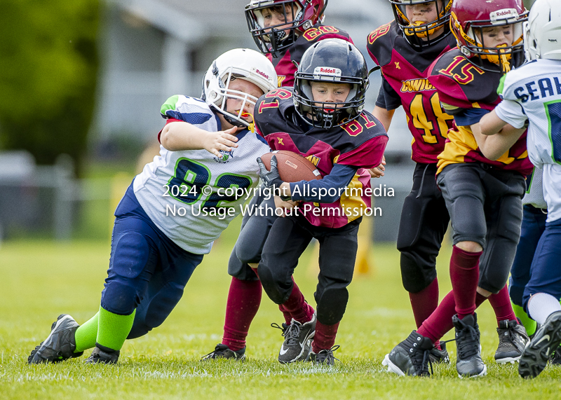 communty football Spartans Warrioirs Westshore Goudy;communty football Spartans Warriors Westshore Goudy SOUTHSIDE DAWGS  HARWOOD cowichan bulldogs nanaimo footbAll isn