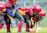 communty-football-Spartans-Warrioirs-Westshore-Goudy;communty-football-Spartans-Warriors-Westshore-Goudy-SOUTHSIDE-DAWGS-HARWOOD-cowichan-bulldogs-nanaimo-footbAll-isn
