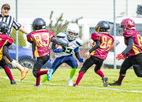communty-football-Spartans-Warrioirs-Westshore-Goudy;communty-football-Spartans-Warriors-Westshore-Goudy-SOUTHSIDE-DAWGS-HARWOOD-cowichan-bulldogs-nanaimo-footbAll-isn