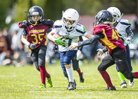 communty-football-Spartans-Warrioirs-Westshore-Goudy;communty-football-Spartans-Warriors-Westshore-Goudy-SOUTHSIDE-DAWGS-HARWOOD-cowichan-bulldogs-nanaimo-footbAll-isn