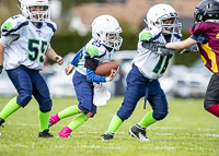 communty-football-Spartans-Warrioirs-Westshore-Goudy;communty-football-Spartans-Warriors-Westshore-Goudy-SOUTHSIDE-DAWGS-HARWOOD-cowichan-bulldogs-nanaimo-footbAll-isn