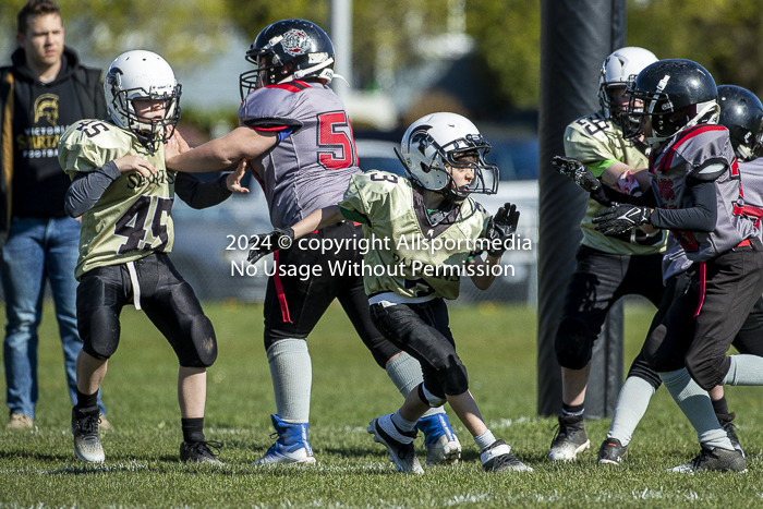 communty football Spartans Warrioirs Westshore Goudy SOUTHSIDE DAWGS  HARWOOD