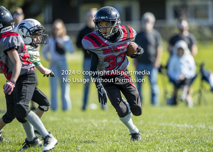 communty football Spartans Warrioirs Westshore Goudy SOUTHSIDE DAWGS  HARWOOD
