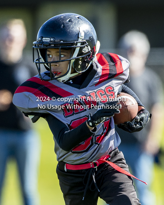 communty football Spartans Warrioirs Westshore Goudy SOUTHSIDE DAWGS  HARWOOD