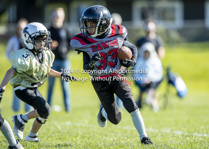 communty football Spartans Warrioirs Westshore Goudy SOUTHSIDE DAWGS  HARWOOD