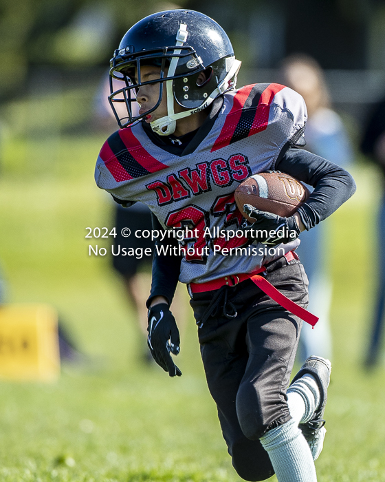 communty football Spartans Warrioirs Westshore Goudy SOUTHSIDE DAWGS  HARWOOD