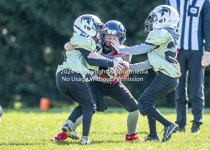 communty football Spartans Warrioirs Westshore Goudy SOUTHSIDE DAWGS  HARWOOD