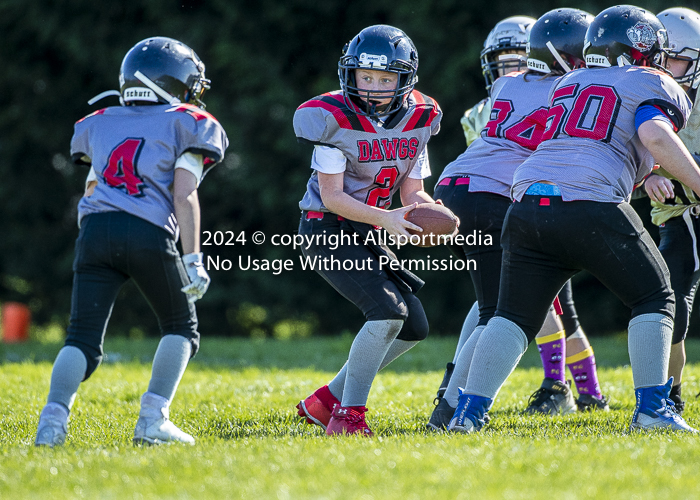 communty football Spartans Warrioirs Westshore Goudy SOUTHSIDE DAWGS  HARWOOD