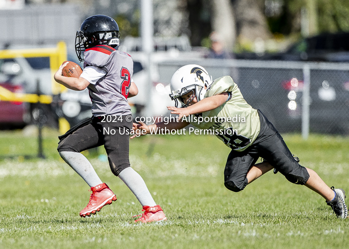 communty football Spartans Warrioirs Westshore Goudy SOUTHSIDE DAWGS  HARWOOD