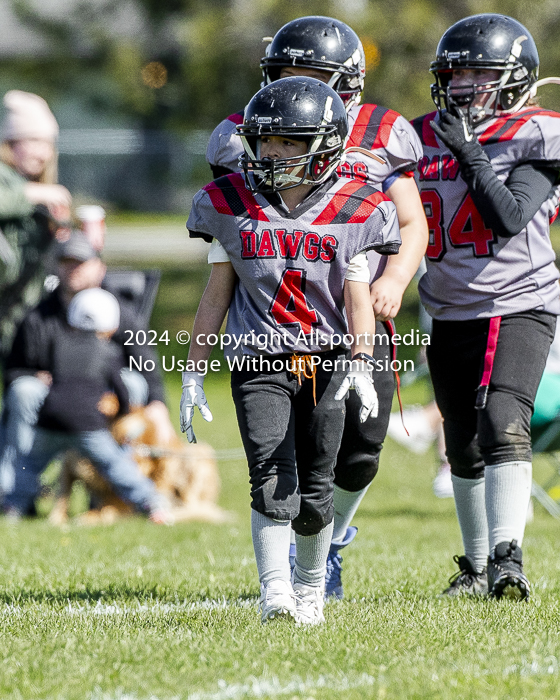 communty football Spartans Warrioirs Westshore Goudy SOUTHSIDE DAWGS  HARWOOD