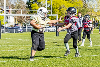 communty-football-Spartans-Warrioirs-Westshore-Goudy-SOUTHSIDE-DAWGS-HARWOOD